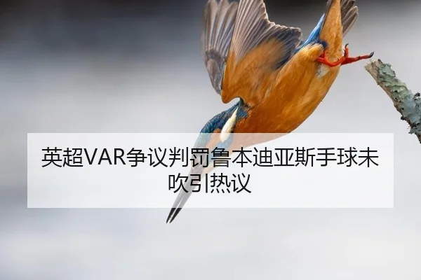 ying-chao-zheng-yi-pan-fa-lu-ben-di-ya-si-shou-qiu-wei-chui-yin-re-yi-2-102.jpg