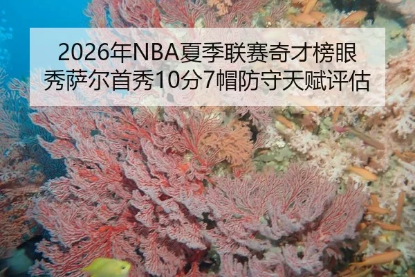 2026年NBA夏季联赛奇才榜眼秀萨尔首秀10分7帽防守天赋评估